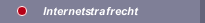 Internetstrafrecht